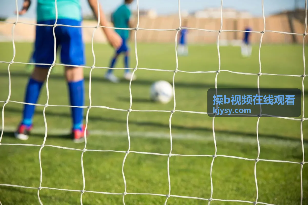 最近更新相关内容，操b视频在线观看